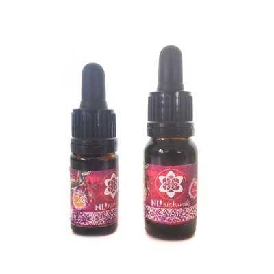 Caapi Tinctuur 40-1 Extract - 5 of 10ml bestellen bij NLNaturals