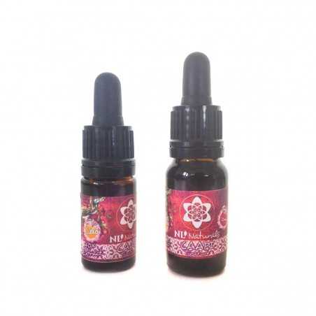 Caapi Tinctuur 40-1 Extract - 5 of 10ml bestellen bij NLNaturals