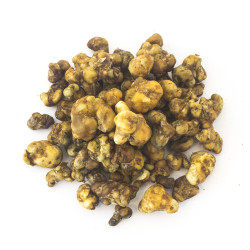Maestro Nirvana Magic Truffles | Wholesale