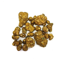 Wakan Tanka Shambhala Truffles | Wholesale