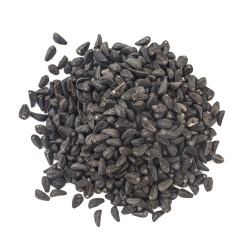 Morning Glory Seeds | Ipomoea Wholesale Morning Glory Seeds | Ipomoea Wholesale