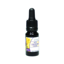 Mulungu CBD 1:1 Extract | Dubbel Kopen