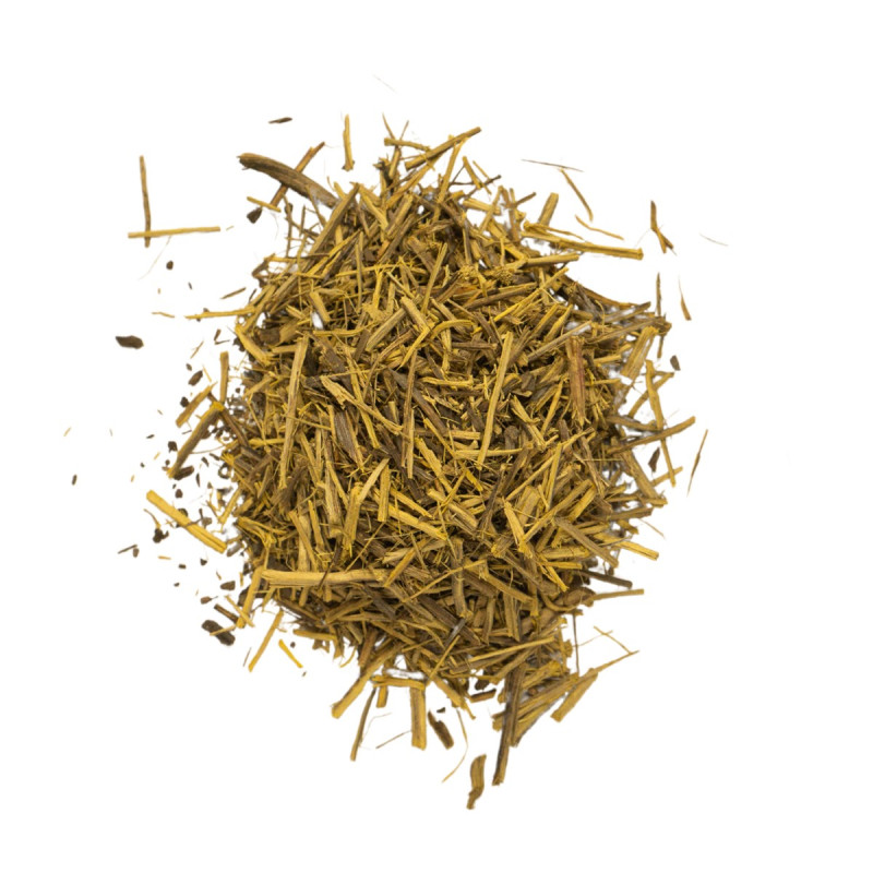 Caapi Trueno - Shredded | NLNaturals Ethnobotanische Groothandel