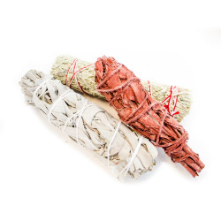 Sage Mix White Blue Dragon's Blood | B2B
