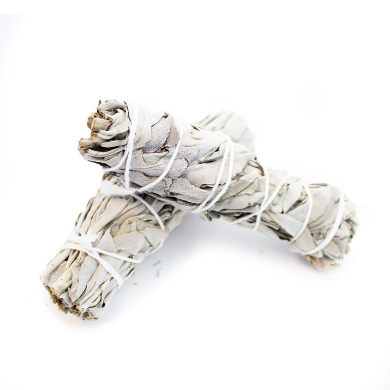 Witte Salie Smudge Kopen | Groothandel