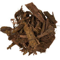 Mimosa Hostilis Mexico | Dried Root Bark B2B Mimosa Hostilis Mexico | Dried Root Bark B2B