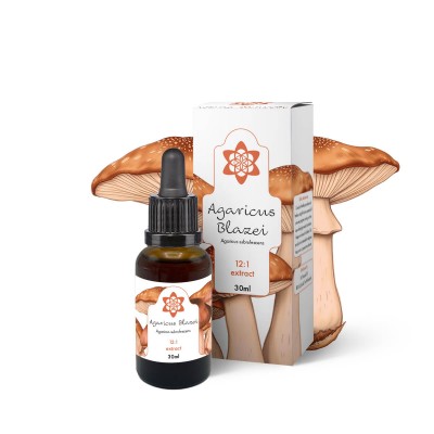 Agaricus Blazei Extract | Premium Kwaliteit voor Professionals | NLNaturals Groothandel