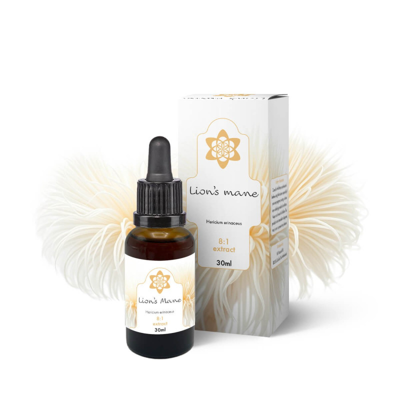 Lion's Mane Extract | Hericium B2B Kopen Lion's Mane Extract | Hericium B2B Kopen