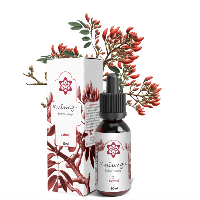 Mulungu Extract | NLNaturals Smartshop Wolesale
