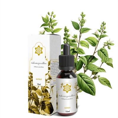 Gezondheid Ashwagandha Extract  | NLNaturals