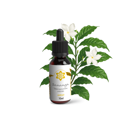 Sananga Eyedrops | NLNaturals Smartshop Wolesale