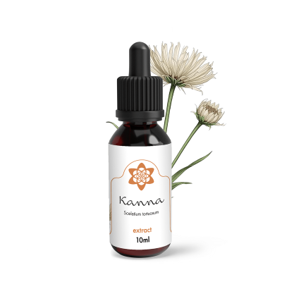 Kanna Liquid 1:1 Extract - 10ml | Next Level