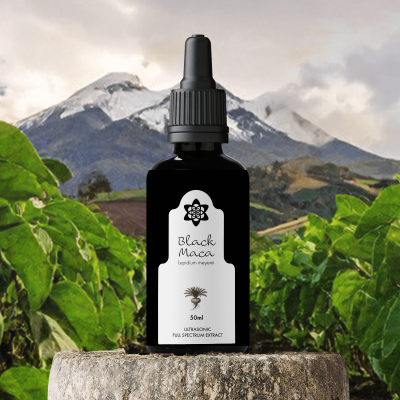 Black Maca Extract Peru | NLNaturals Smartshop Wholesale
