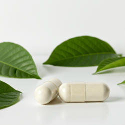 Kratom Extract Caps Maeng Da | 85-110mg B2B