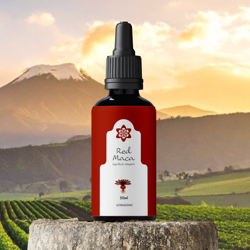 Rode Maca Extract Peru | Geconcentreerd