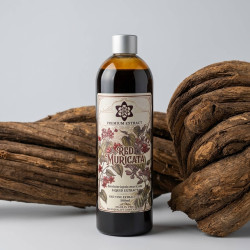Buy Caapi Pasta 12:1 Muricata | Red Vine Resin - Next Level