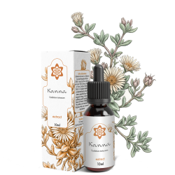 Kanna Liquid 1:1 Extract 10ml | Wholesale