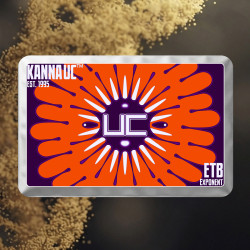 Buy Kanna UC ETB wholesale | mild Exponent - NL Naturals