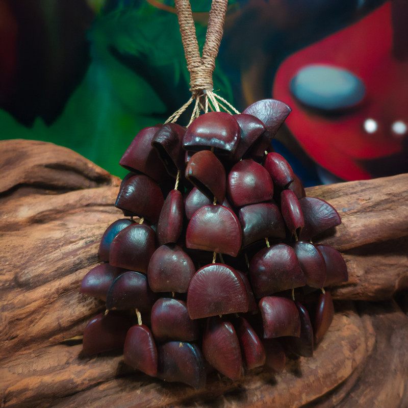 Shamanic Seed Shaker - Bendo - handcrafted ceremonial instrument Shamanic Seed Shaker - Bendo - handcrafted ceremonial instrument