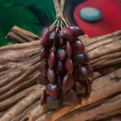 Shamanic Seed Shaker - Bendo - handcrafted ceremonial instrument - top view Shamanic Seed Shaker - Bendo - handcrafted ceremonial instrument - top view