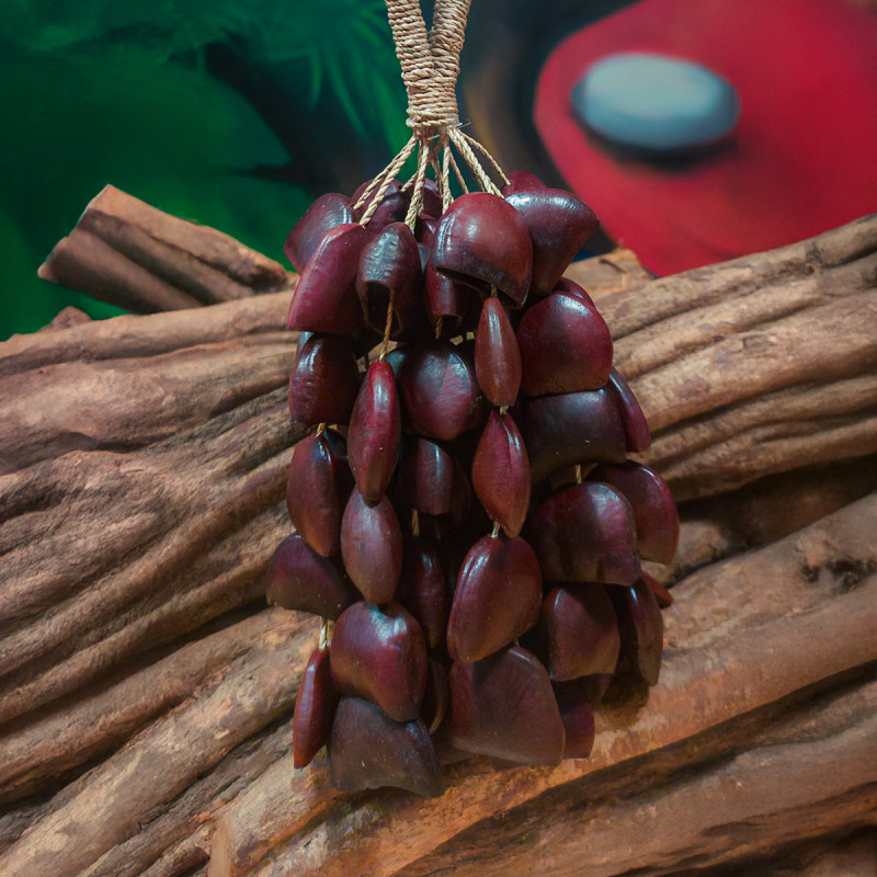 Shamanic Seed Shaker - Bendo - handcrafted ceremonial instrument - top view Shamanic Seed Shaker - Bendo - handcrafted ceremonial instrument - top view