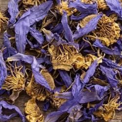 Herbs