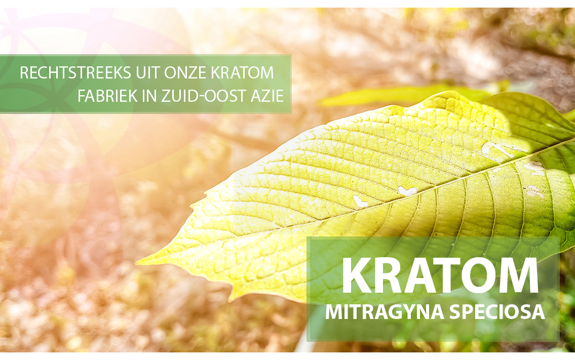 Banner - Kratom